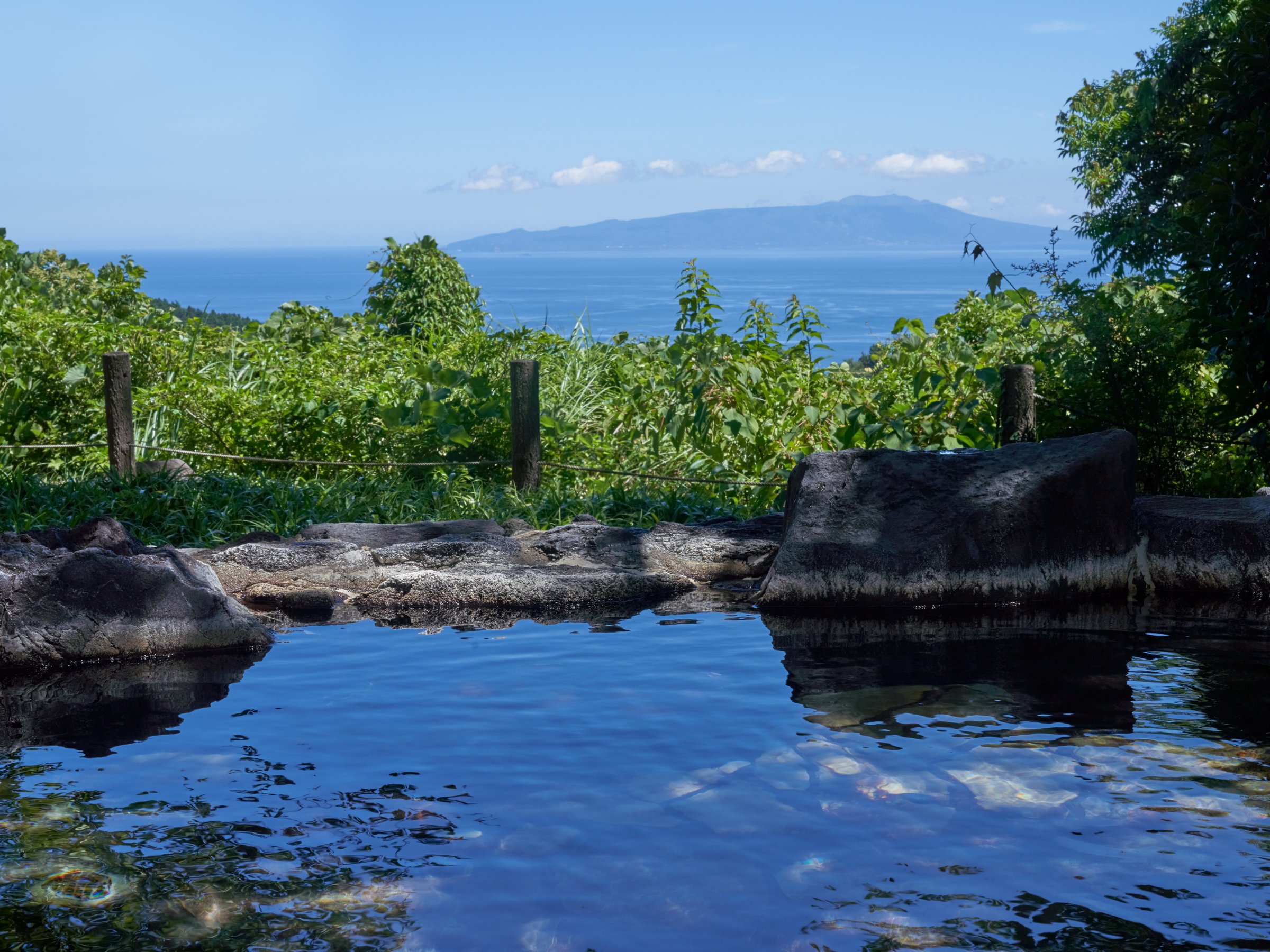 򂩂̘IVC݁B莩Rɕ܂ꂽ][gXeC