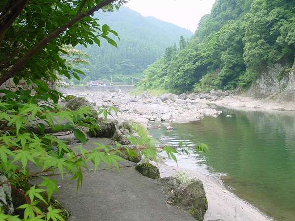 �k���ނ����V�т����i�ł��܂���`�B�啨���|���邩���B