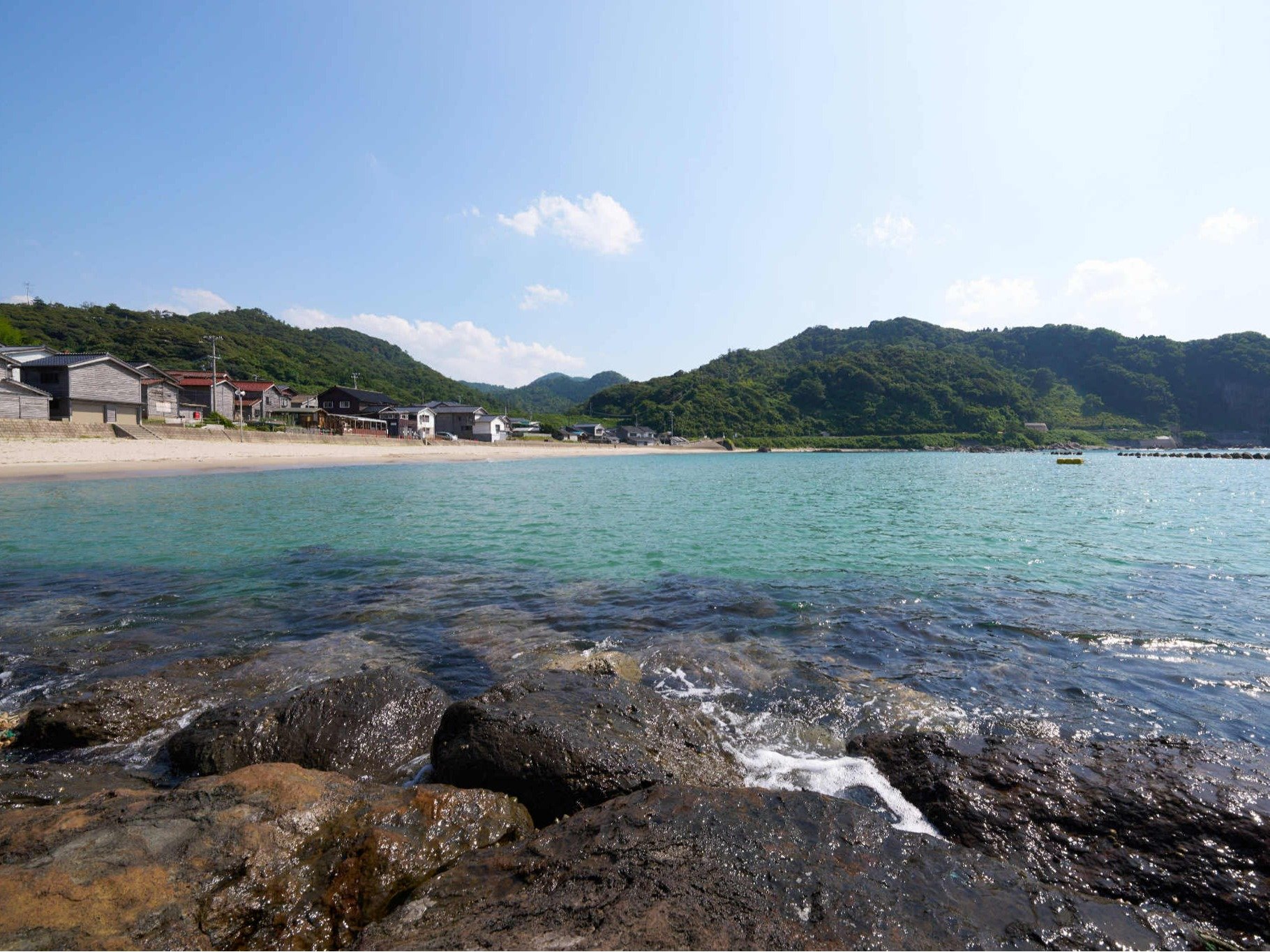 �����x���Q�̐ؕl�C������ł�