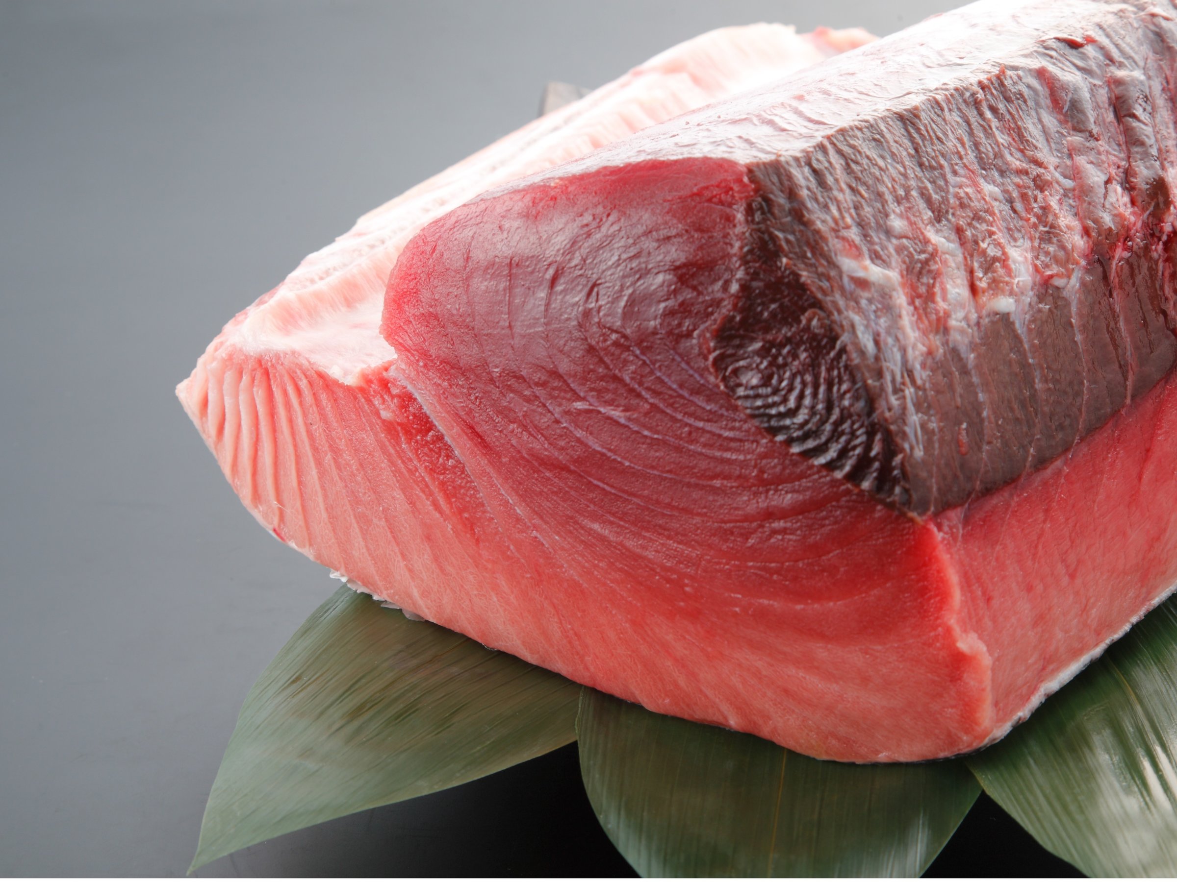 新鮮なまぐろを、色々なスタイルで楽しむ。和洋折衷の竹の葉スタイル『まぐろ三昧』をお楽しみください♪