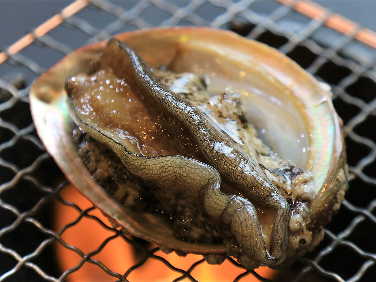 ����_�[�H_����їx�Ă�*