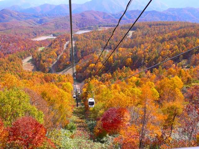 yHz10`11ɂĊy߂闠֒̍gt\߂̓[vEFC̏ċ󂩂̍gt