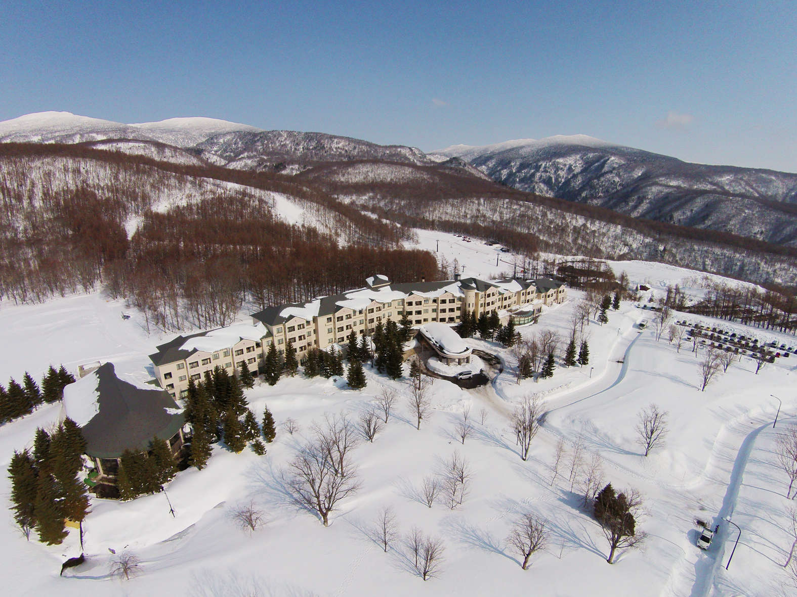 yOρz^ȐEɕ܂ꂽzeBOfRXm[][gItBVzełB