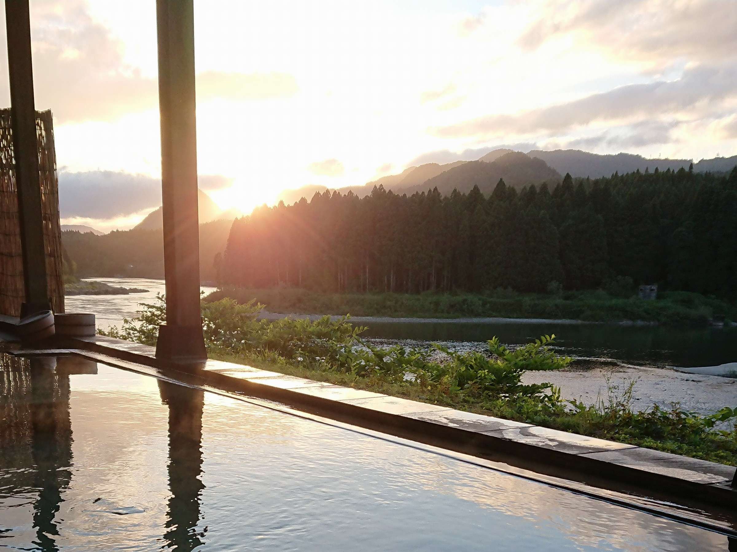 �[�Ă��̘I�V���C