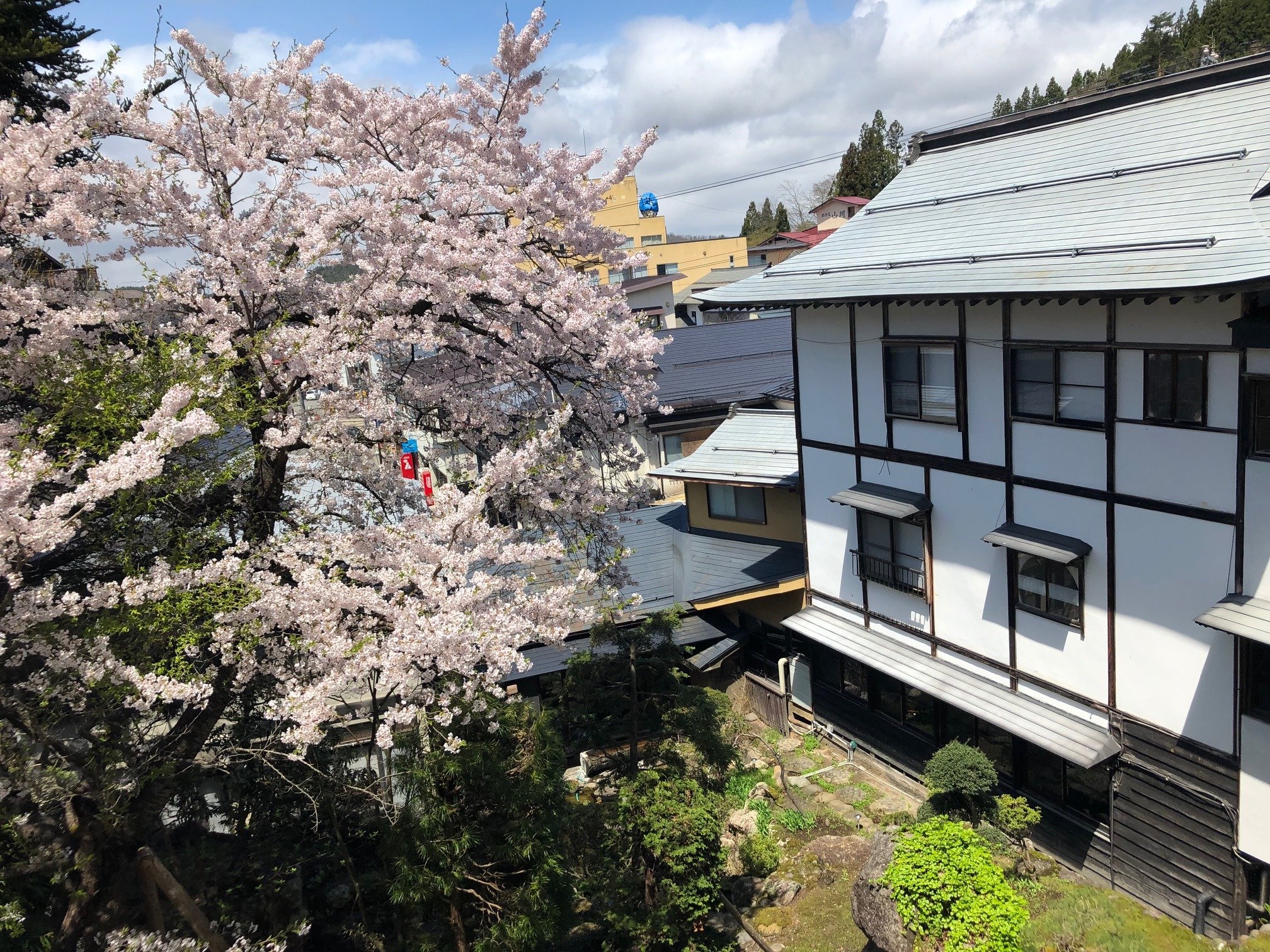 �y�{�فz����̍��i4�����{�`5����{�j