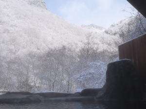 �~�̐���Ԃ̘I�V���C����̌i�F