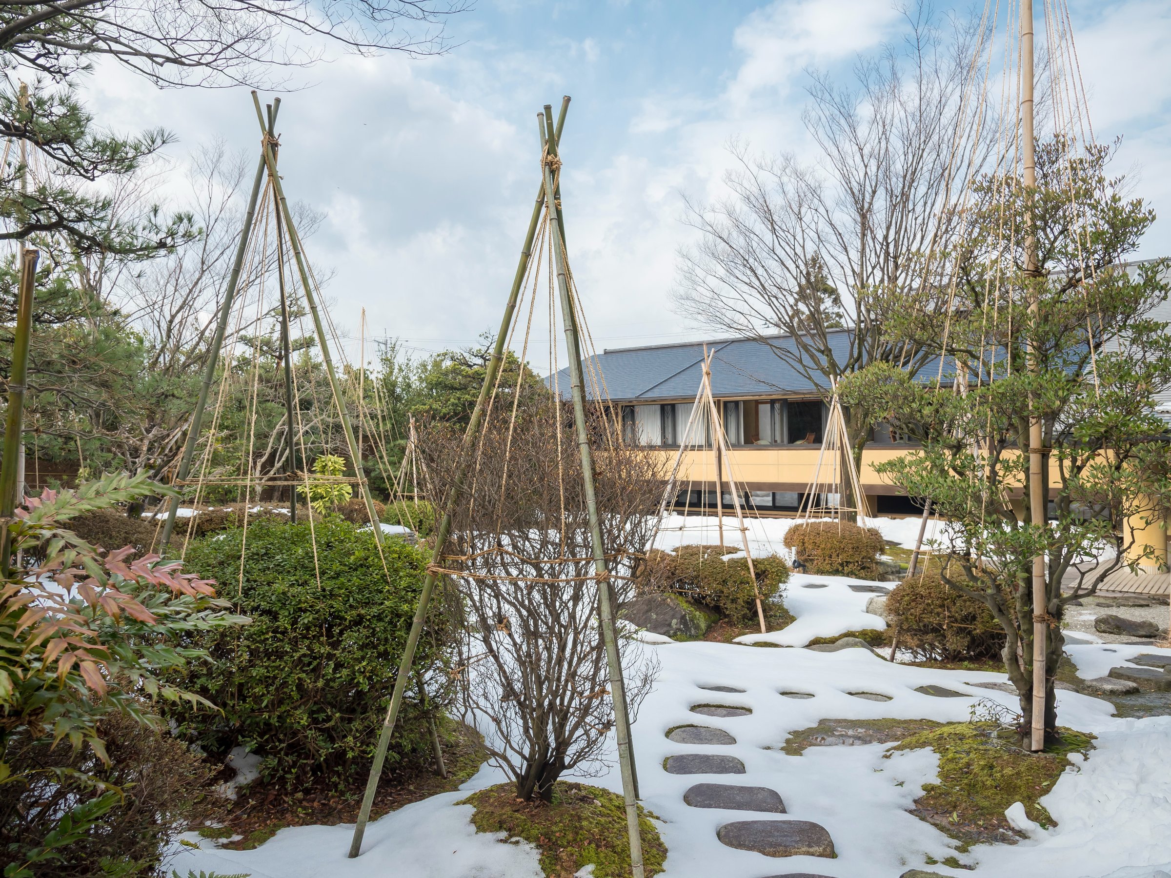 �y�뉀�z��݂肪�������~