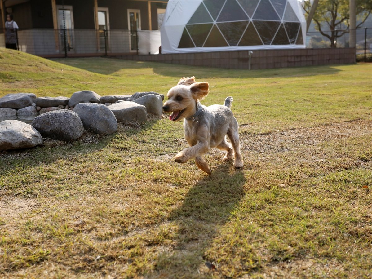 yhbOzLXƂVRł̍LBCɂvVׂāACLCLI