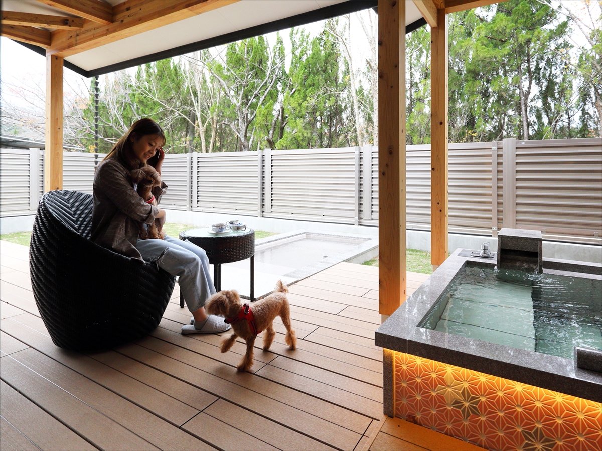 y؍݃C[WzLXƂeXŁACɂƌKȎԁB