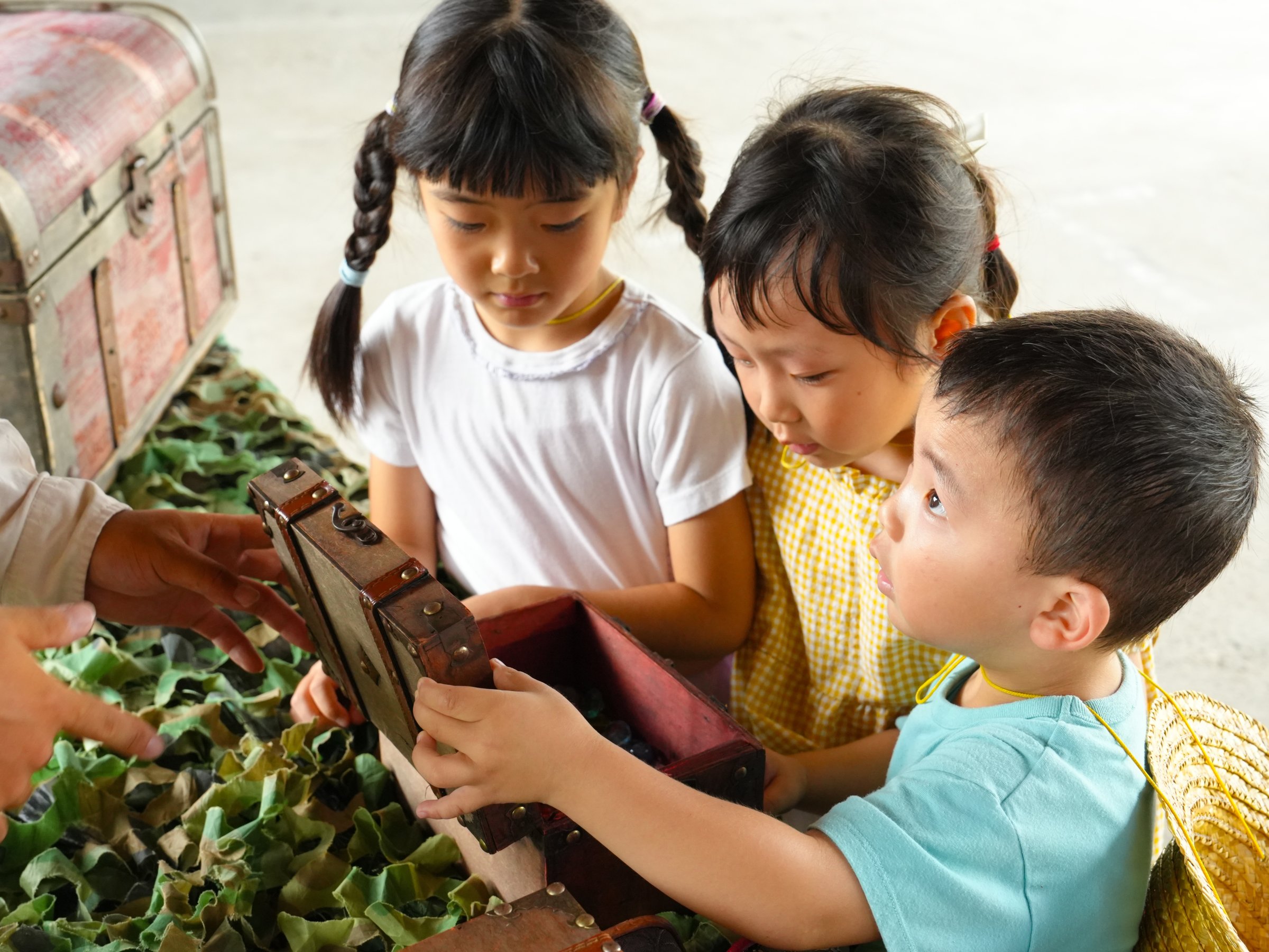 �A�N�e�B�r�e�B