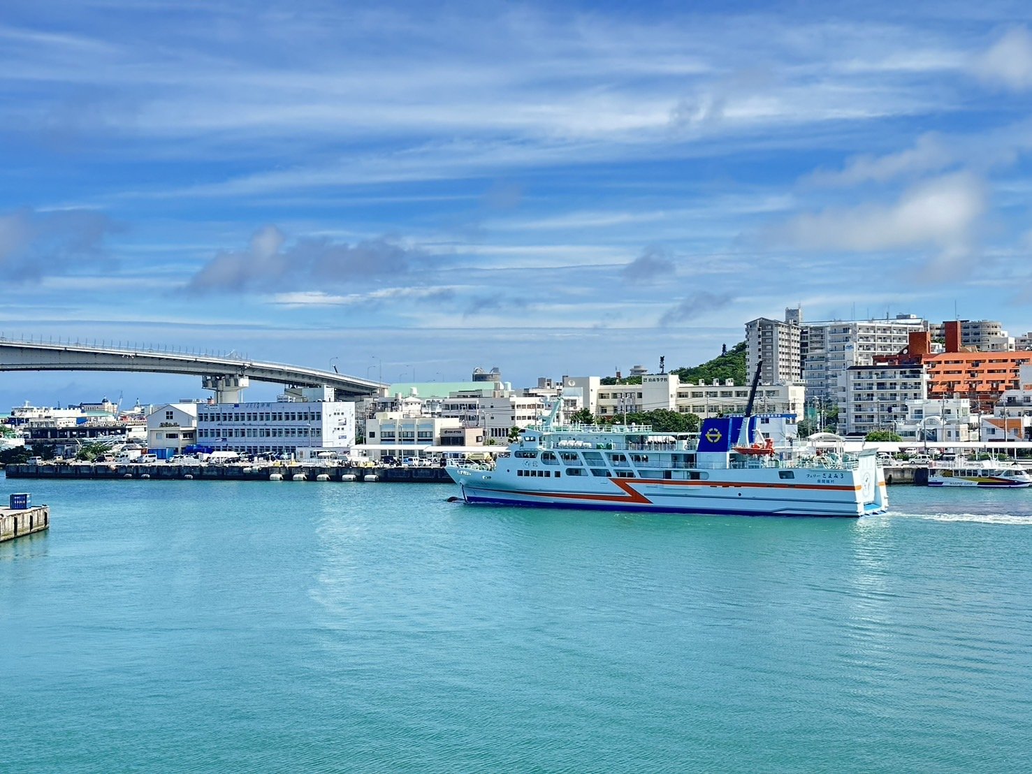 ���Ԗ����s���̃t�F���[�I���`����e�����ւł����悤���c