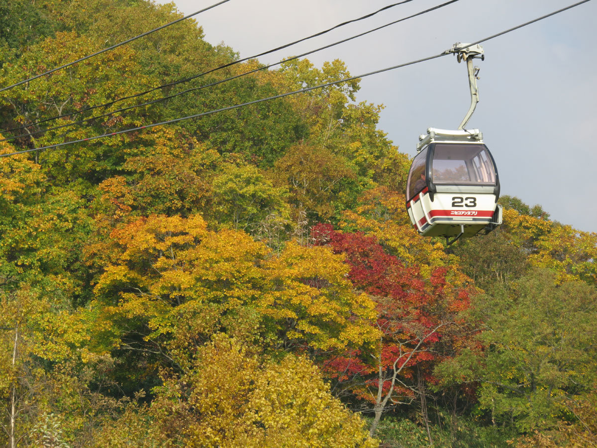 秋のアンヌプリゴンドラ