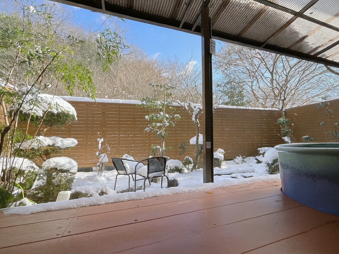 ���y��i�F�z�I�V���C