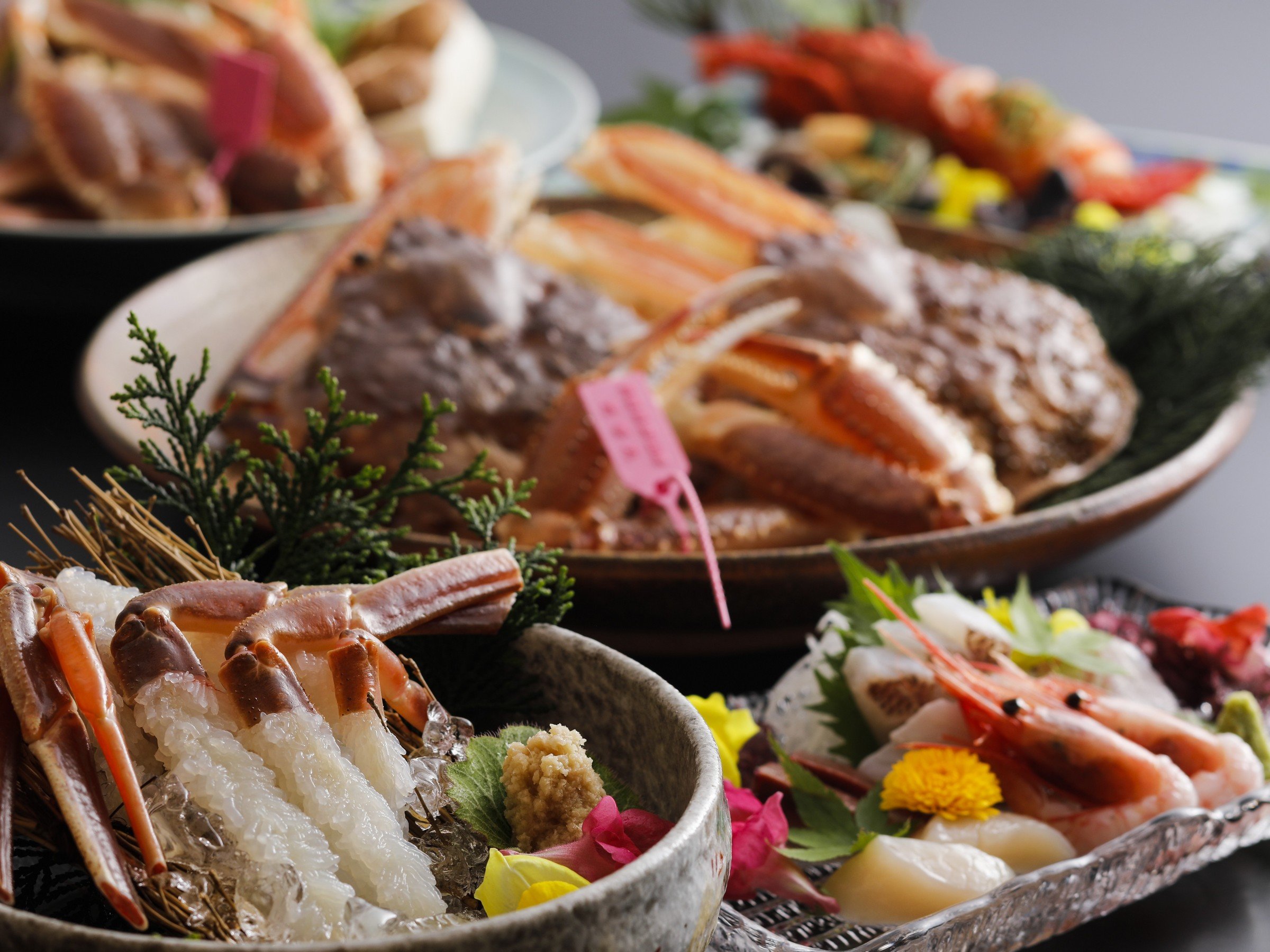 ���K�j�R�[�X�@���C���[�W