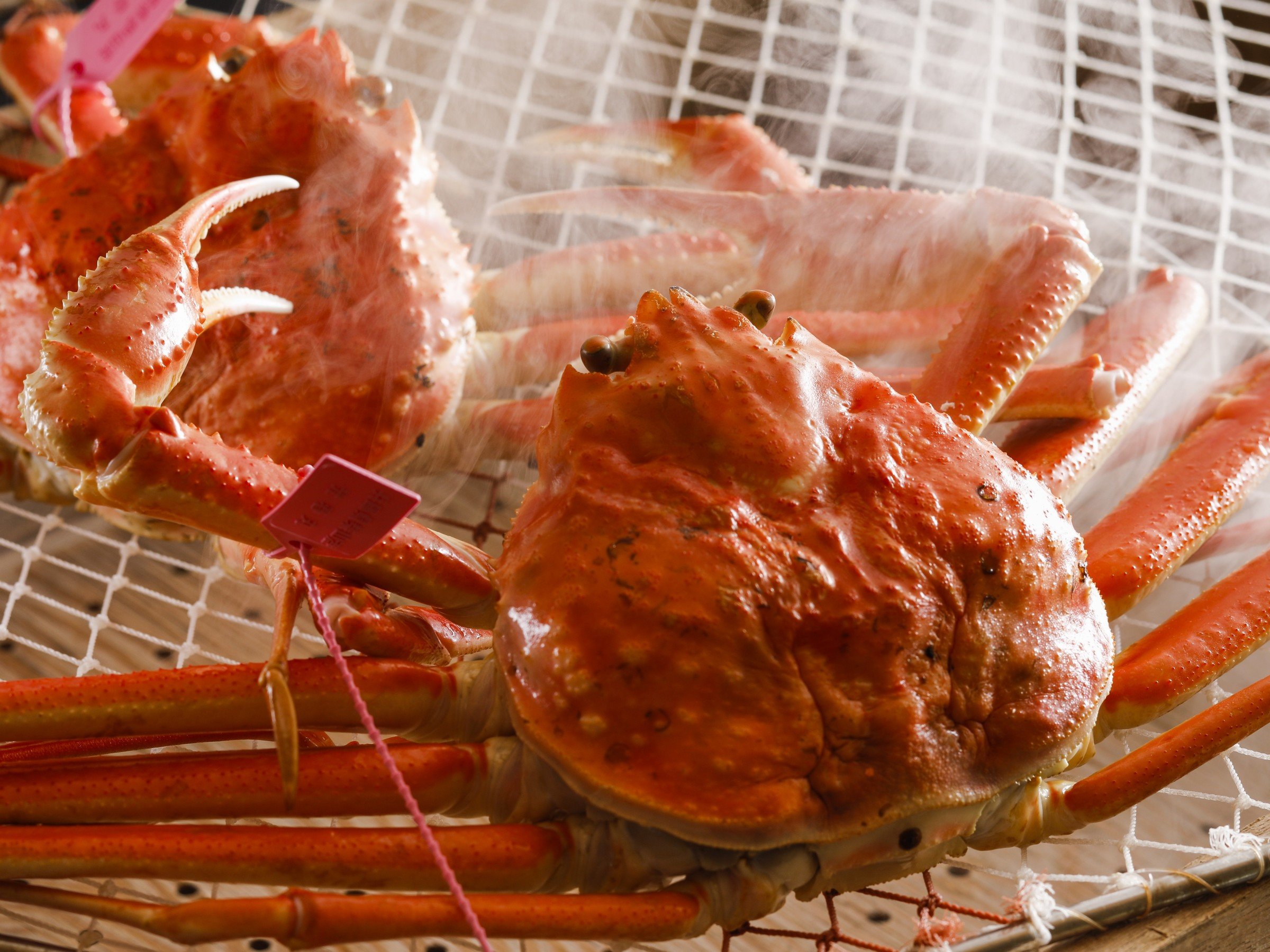 ���t�K�j�@���