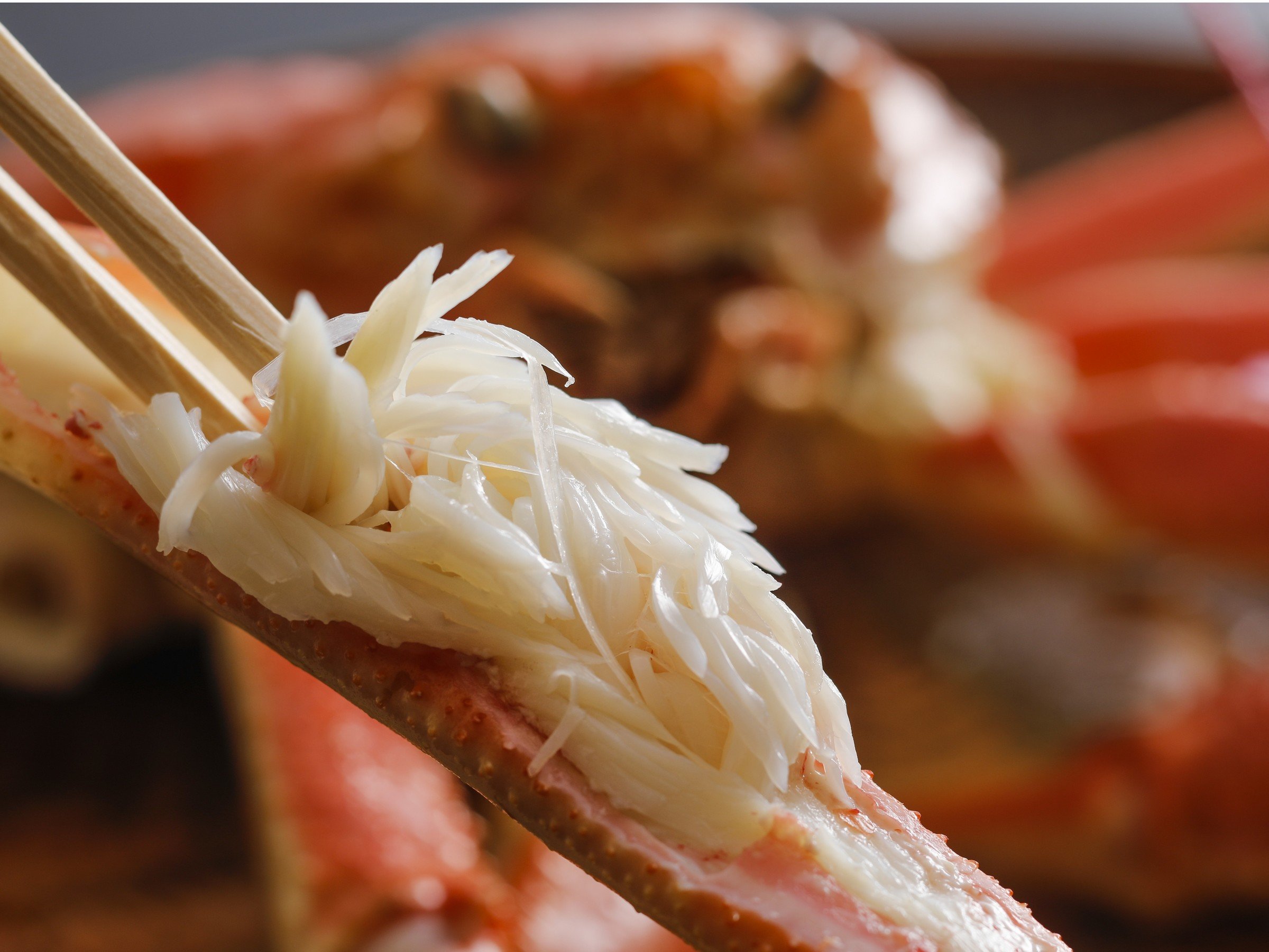 ���t�K�j�@���