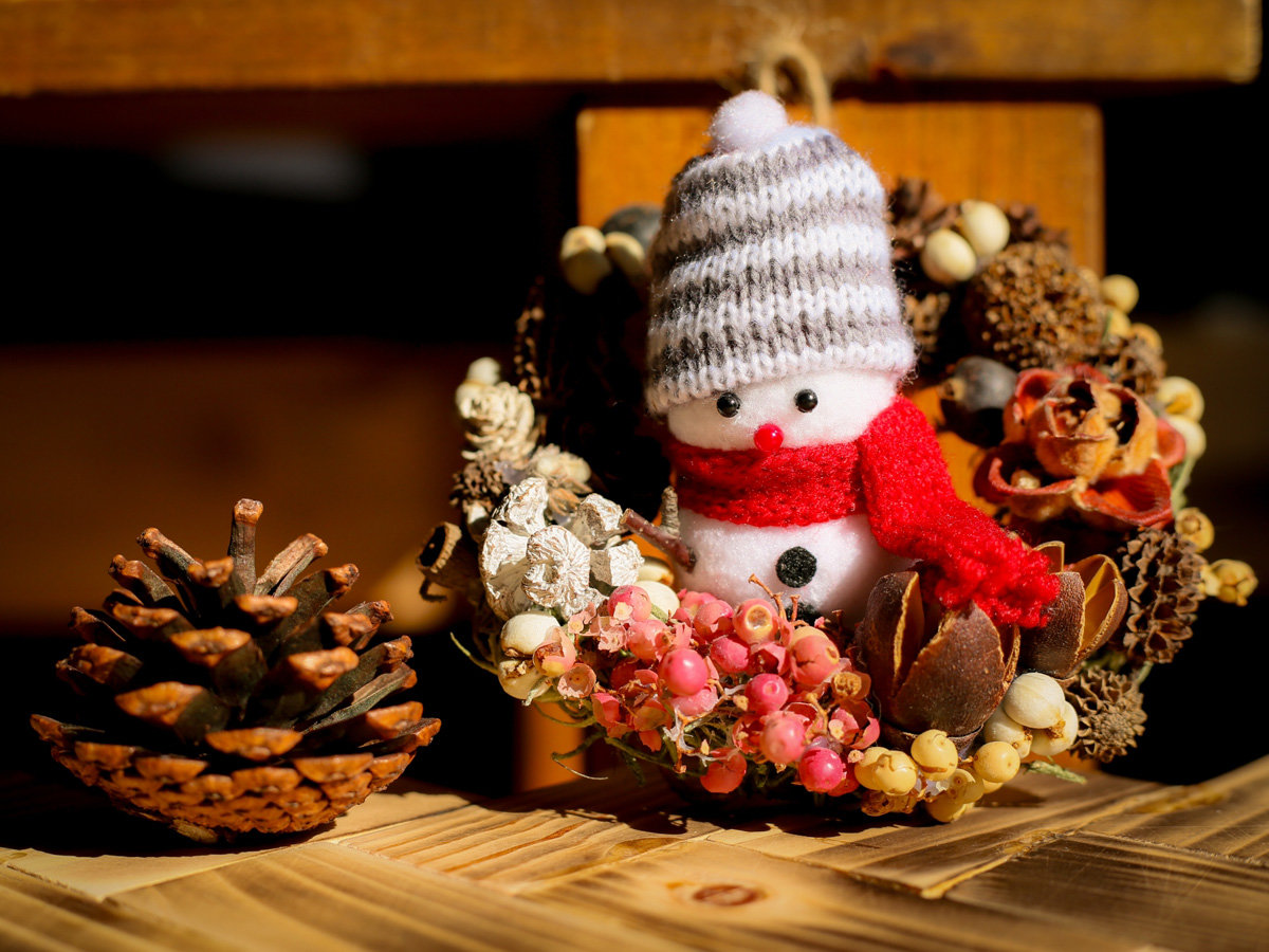 �����������A�ʂ������T�������ȗ��B