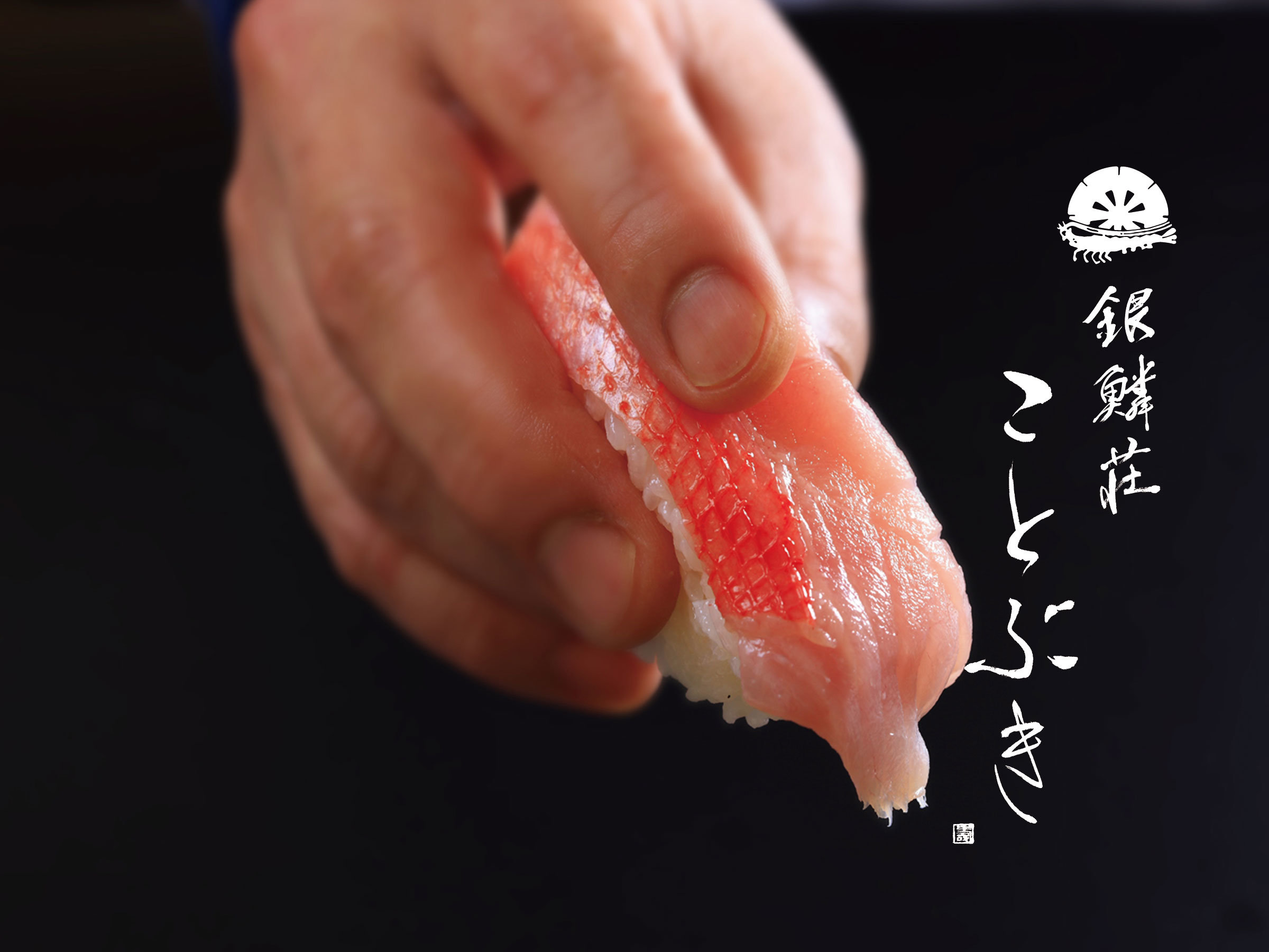 齉̐VNfށIiM肪y߂܂