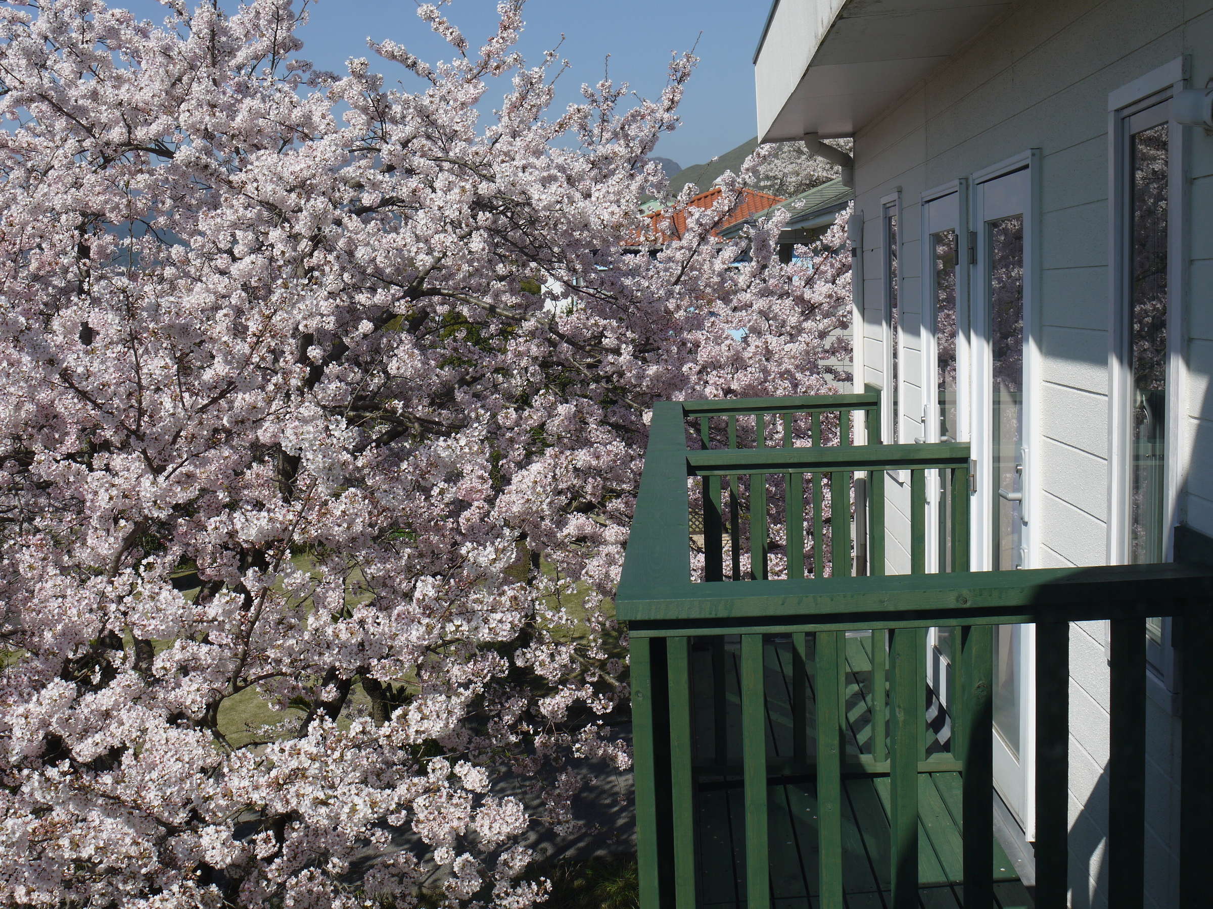 DX�c�C���i2-3�����p�j�x�����_���@�����J��