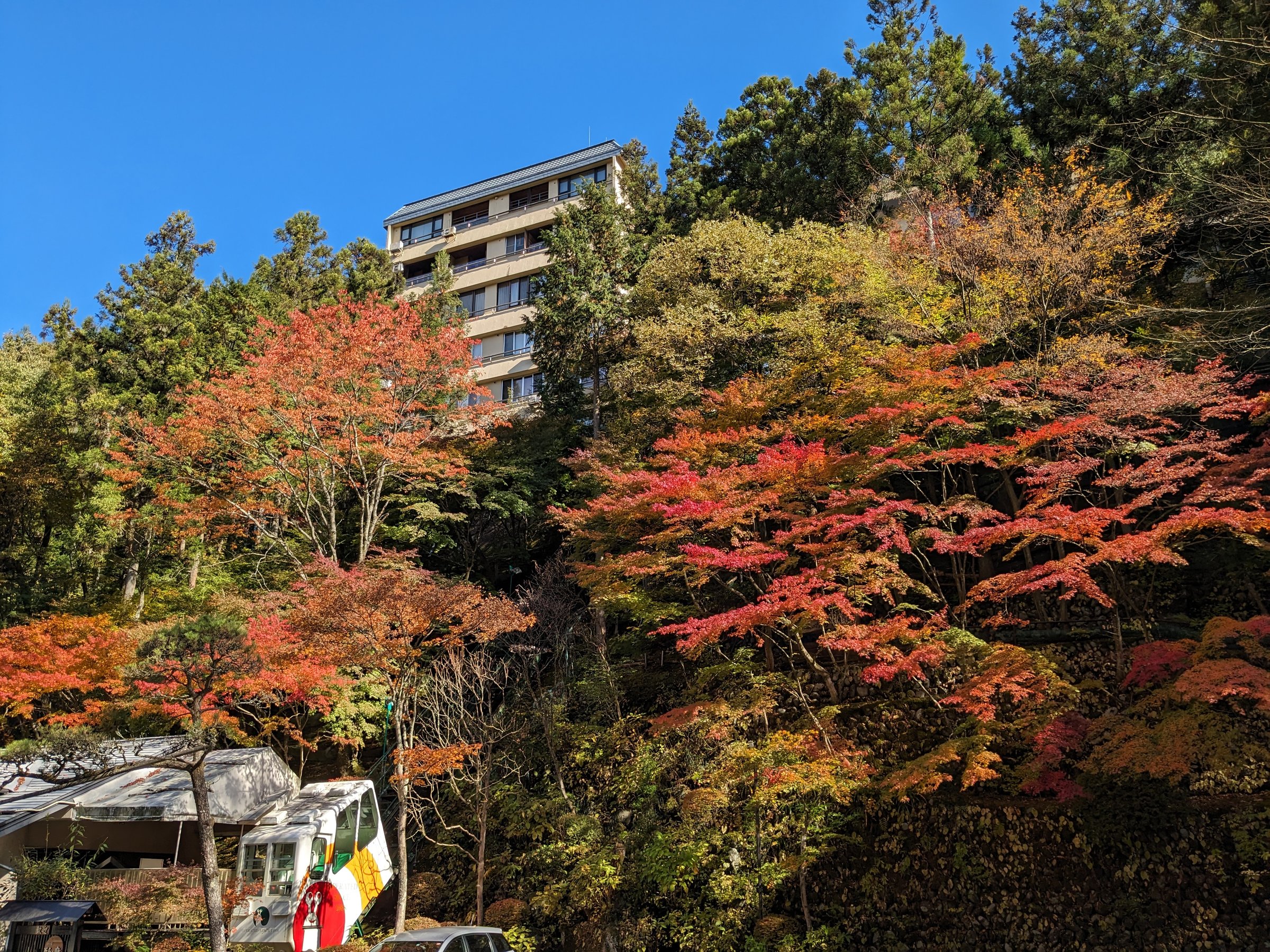 �g�t�����̒��ԏꂩ��̒���