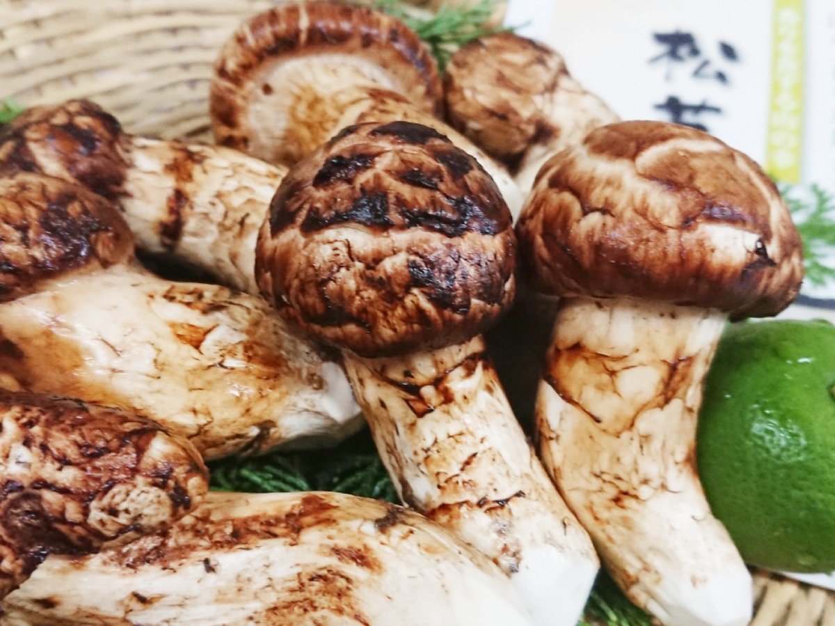 ̖Fȍ肪AH̖KA݂߂邽тɏ{̎|ςɍL܂B