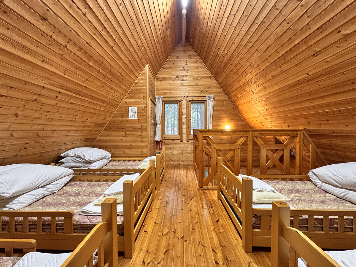 ���y���R�e�[�W�z5�l�p�@�o���K���[�X�^�C���̐Q��