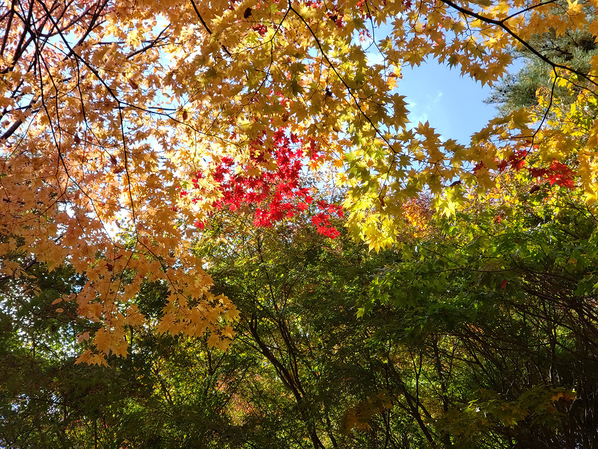 ���y�G�߁z�H�̍g�t���y���߂܂�