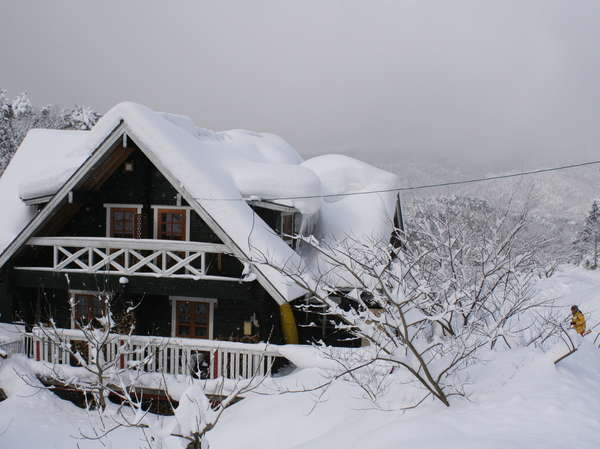 ����̂Ƃ��̓^�C�w���Ȃ�ł�