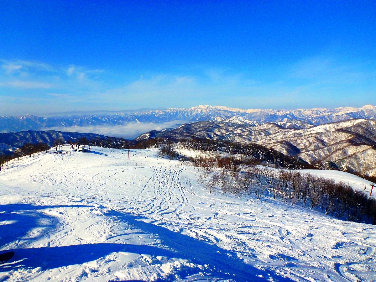 قk5IpE_[o[ɐlĈЂtXL[