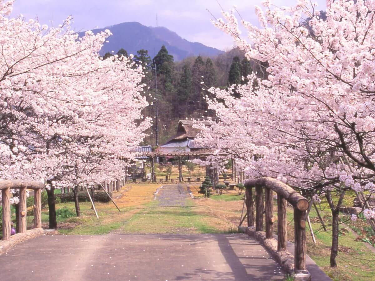 ���ق�肨�Ԃ�25���B���t�̗����^�쉑�͍��̖����B���Ɩ��t�W�̐��E�ɐZ��A����ȂЂƂƂ����B