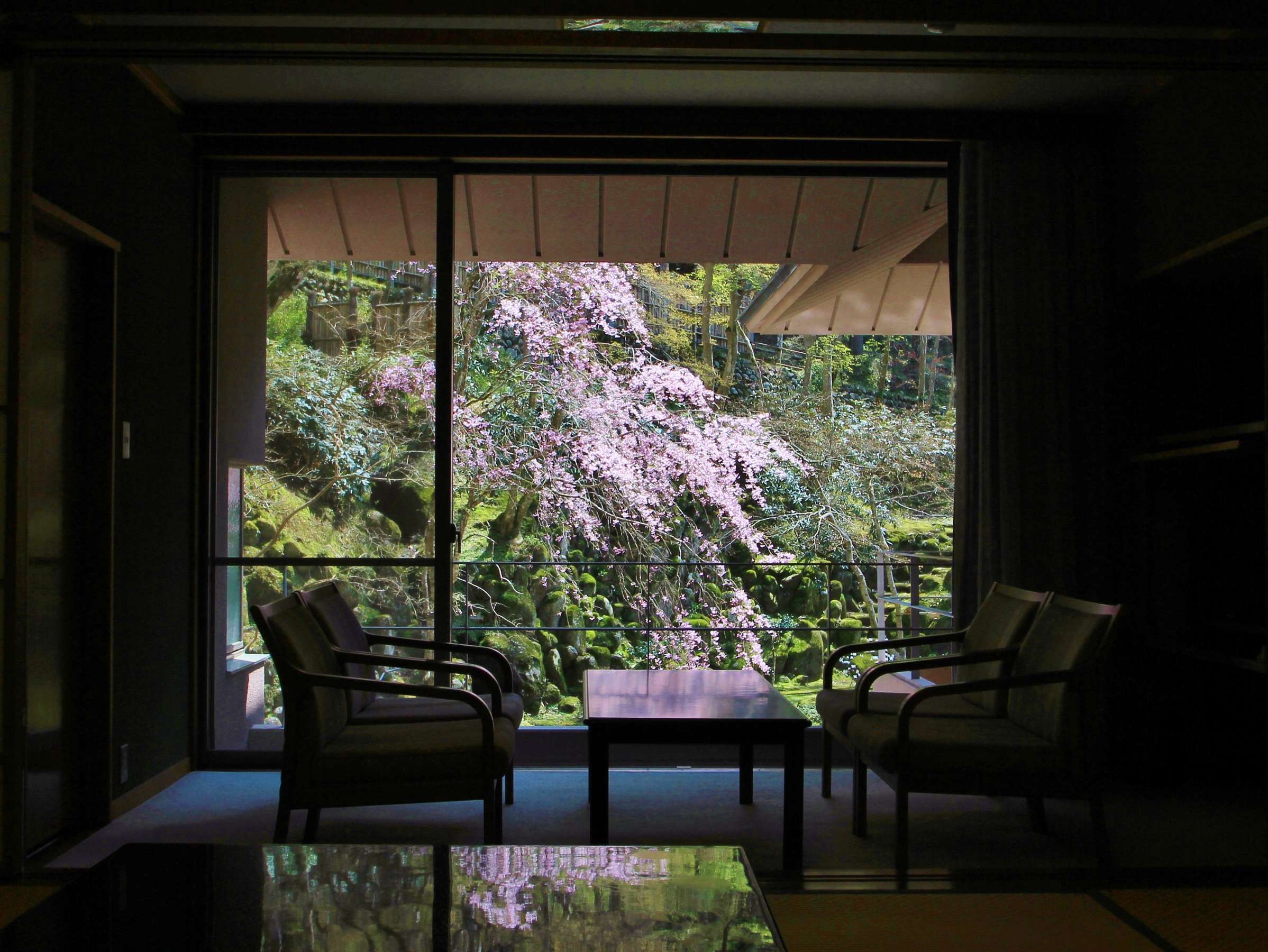 �C�P���̏tࣖ������̒��r�n�q�`�ŁA�܊��ł������݉������܂��B�i�q�������j