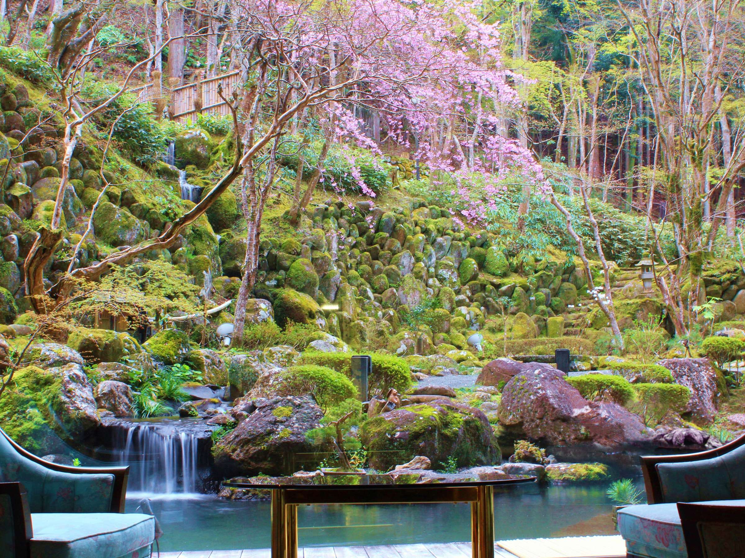 ��SORA�̐l�C����������t�̖K���m�点�Ă���܂��B��N�S����{�ɊJ�Ԃ���B(�C���[�W�j