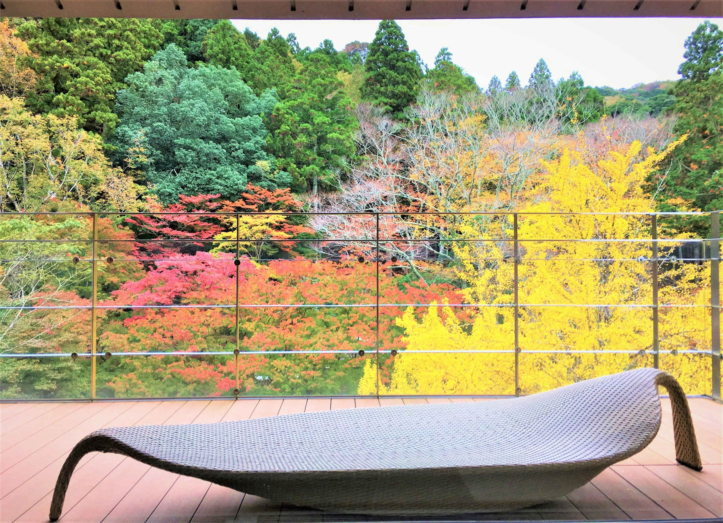 eXtq̃fbLAlG̈ڂ낢𒭂߂Ȃv͂iH̍gtC[Wj