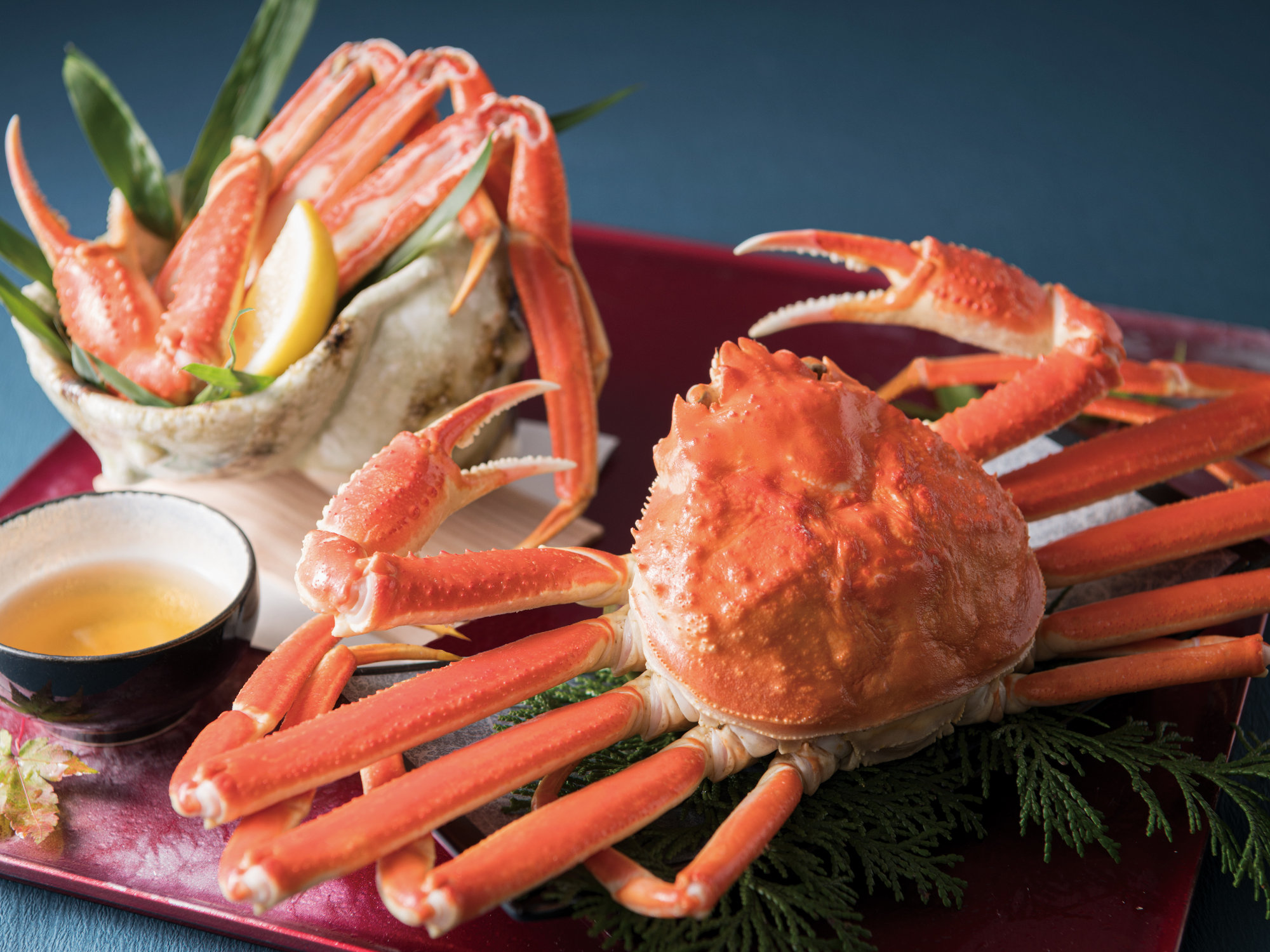 �~�̖��o�̉��l�u���Ɂv�I�V�����z�e���ł�11��7���`3��31���܂Łu���Ɂv���������y���݂��������܂��B