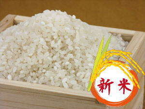 NVYVăRVqJׂ܂IHubtFłܖ