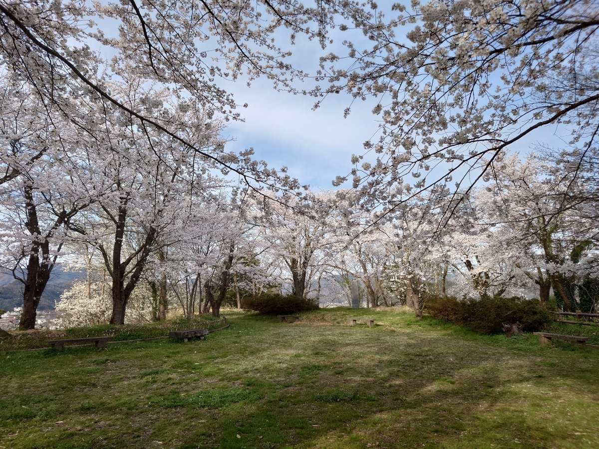 �E�y���Ӂz���{�݂���_���R�����܂ł͓k����5���B�����ȃs���N�̍��g���l�����L����܂�