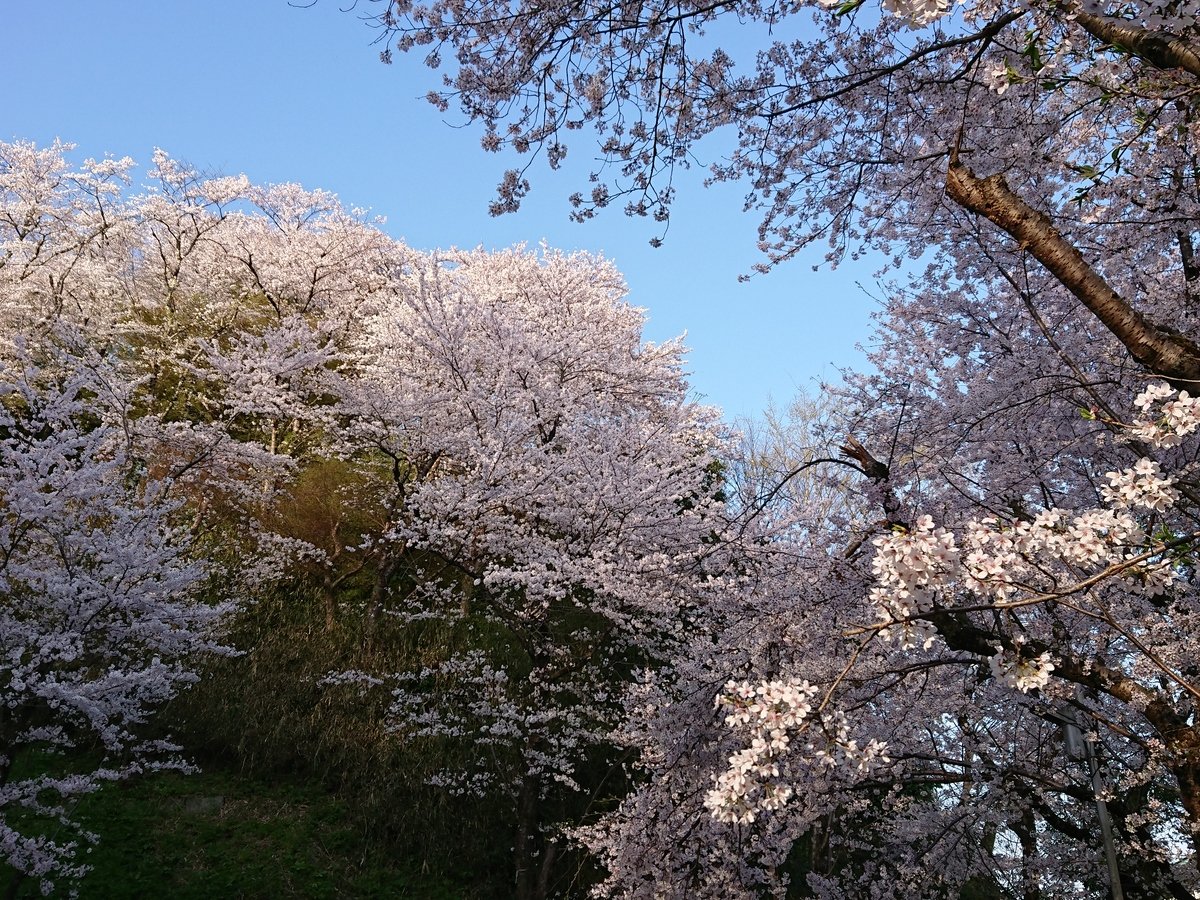 �E�y���Ӂz���{�݂���_���R�����܂ł͓k����5���B�tࣖ��A�_���R�����̍������J�ł�