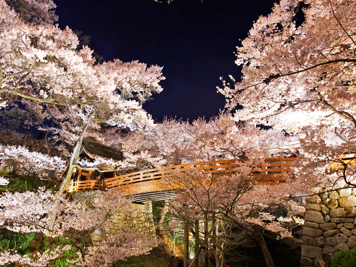 *�y�����隬�����z�����疼��100�I�ɂ��I�΂�A1500�{�̍����炫����܂��B