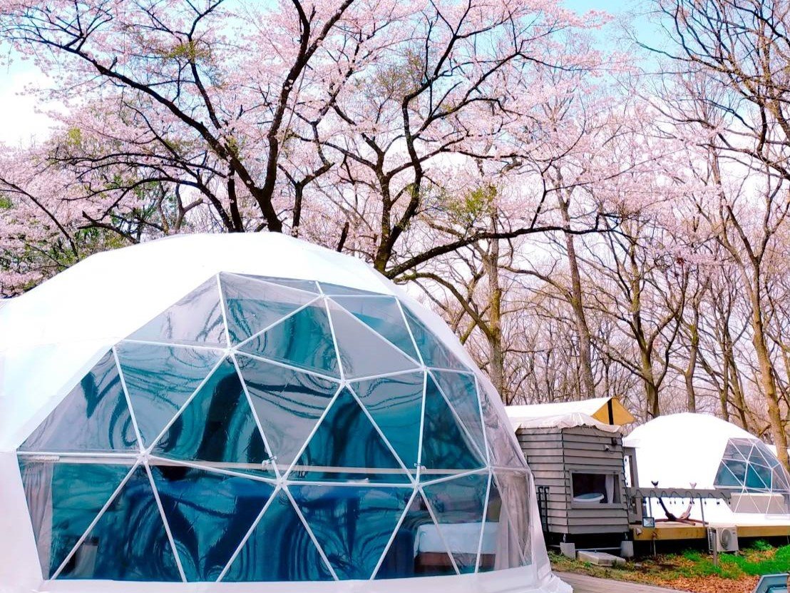 �����炫�ւ�t�́A��D�̃O�����s���O�V�[�Y���􂨑��߂ɂ��\�񂭂������B