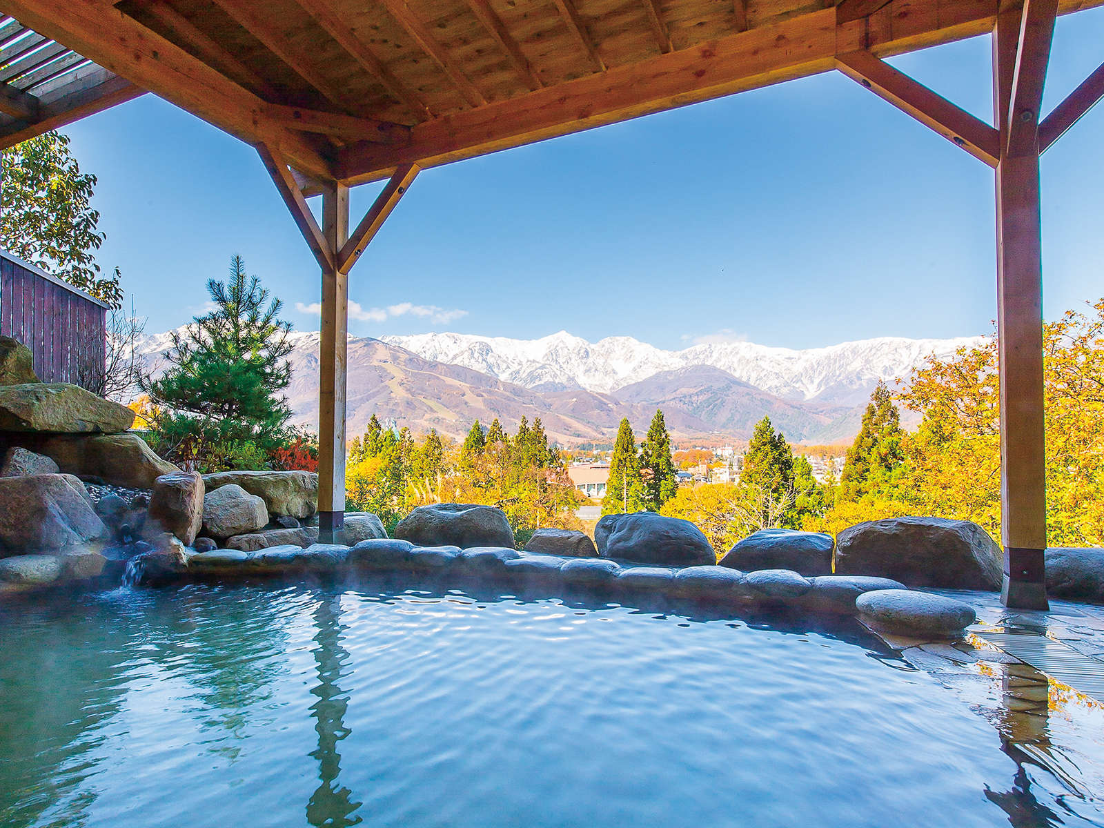 yV_̓zō̒AOigt̘̍IVC̐i͖Y܂i11j