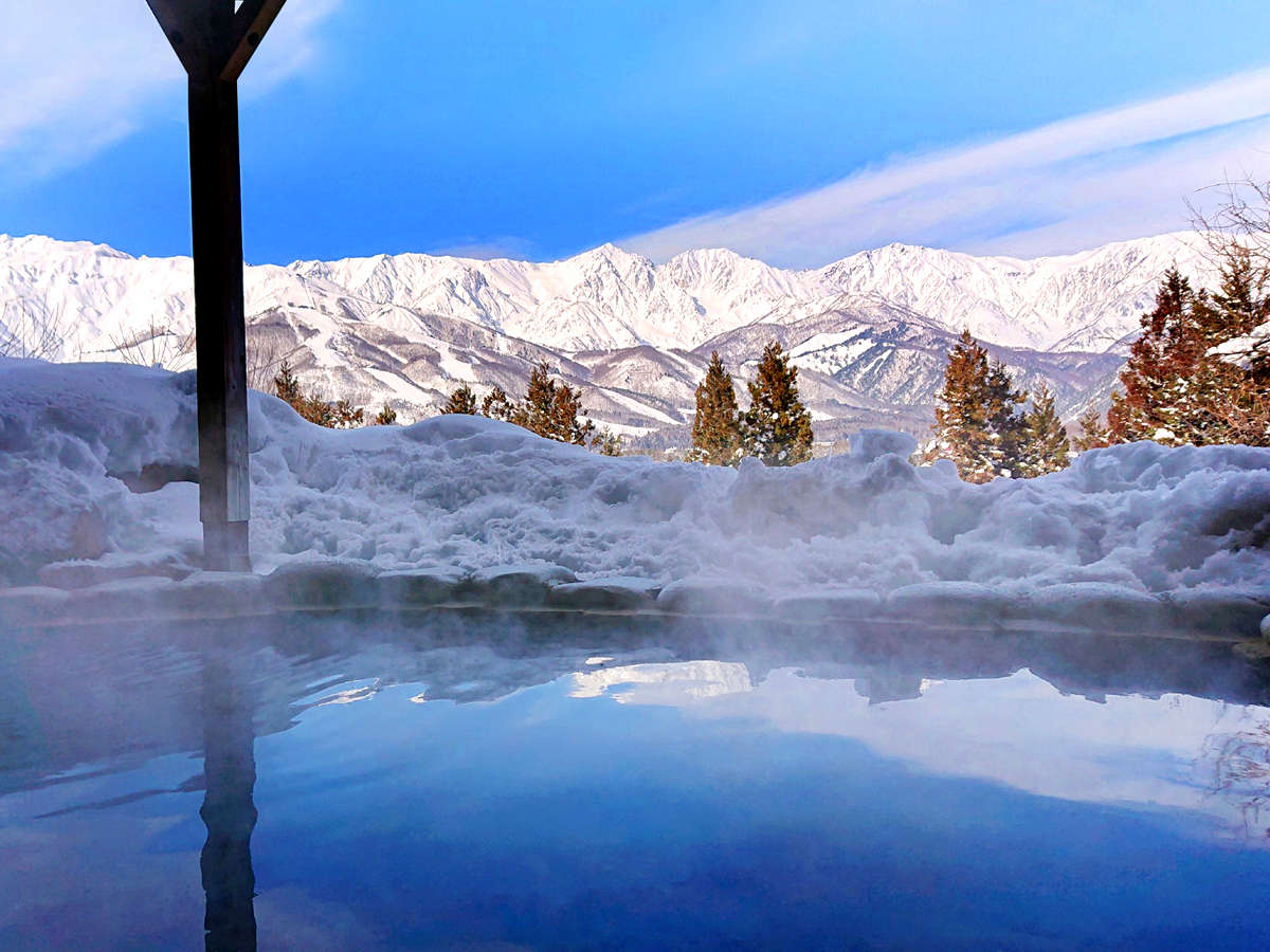 �y�V�_�̓��z�����Ǝv���o�Ɏc��A��i�I�V���C�B