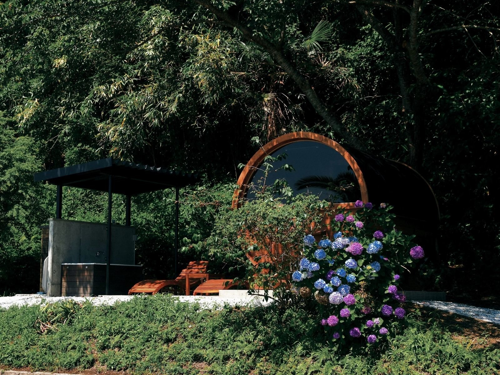 �o�����T�E�i