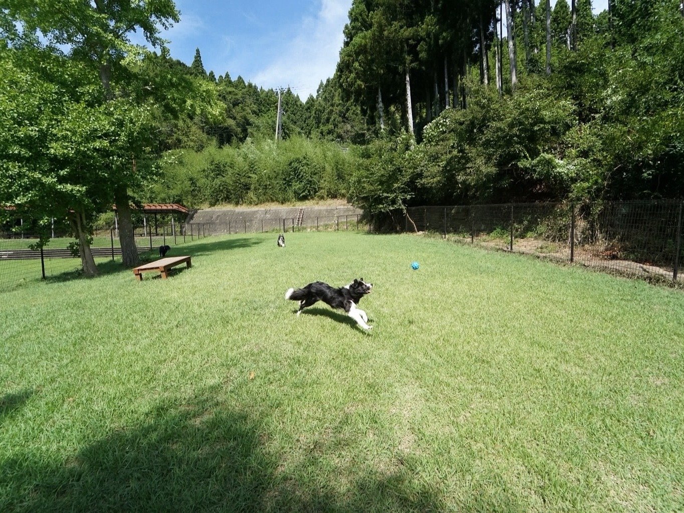 hҐp̑^hbOBVRł̏𒪕Ȃv؂삯܂邱Ƃł܂B