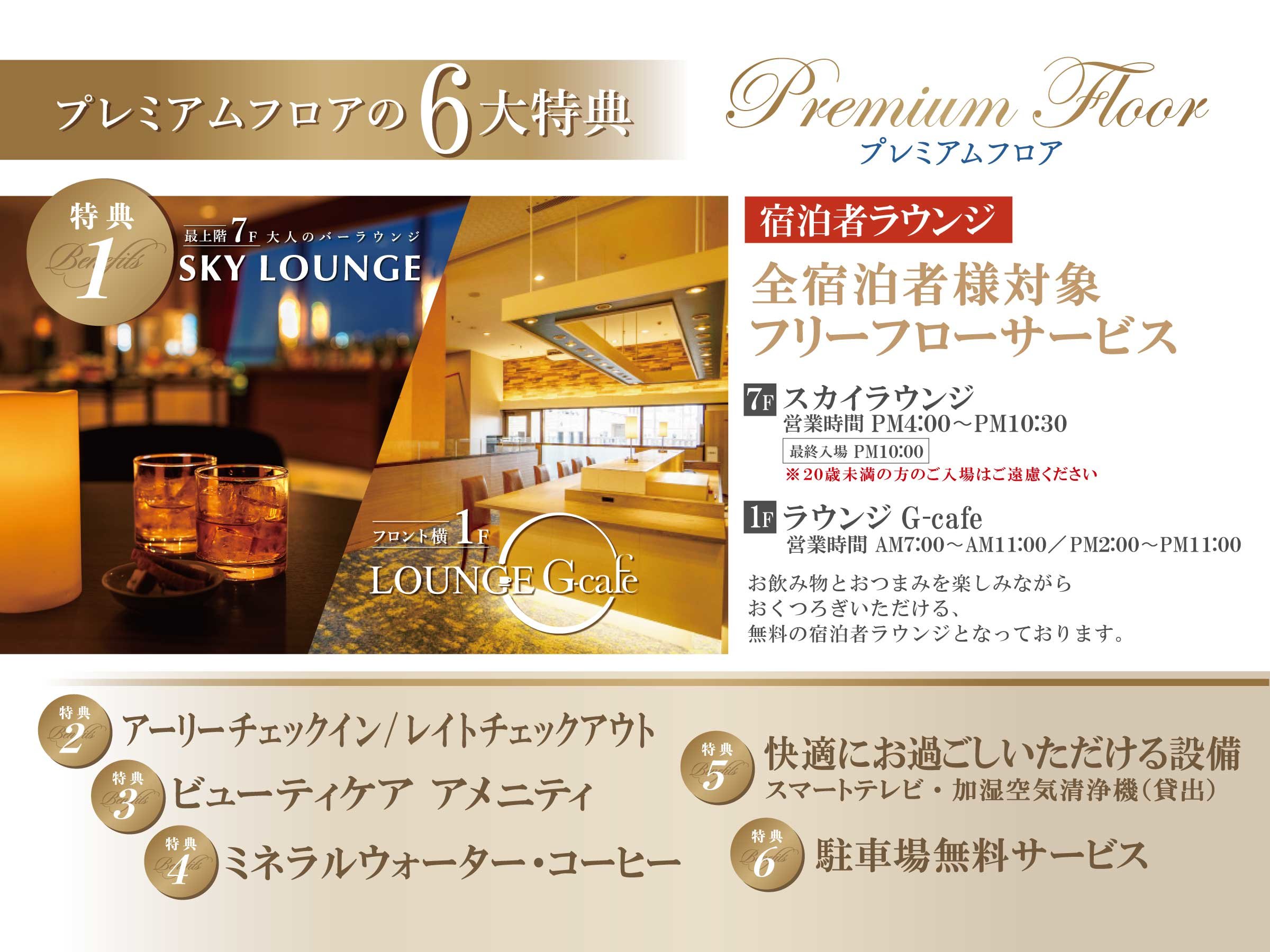 �v���~�A���t���A6����T