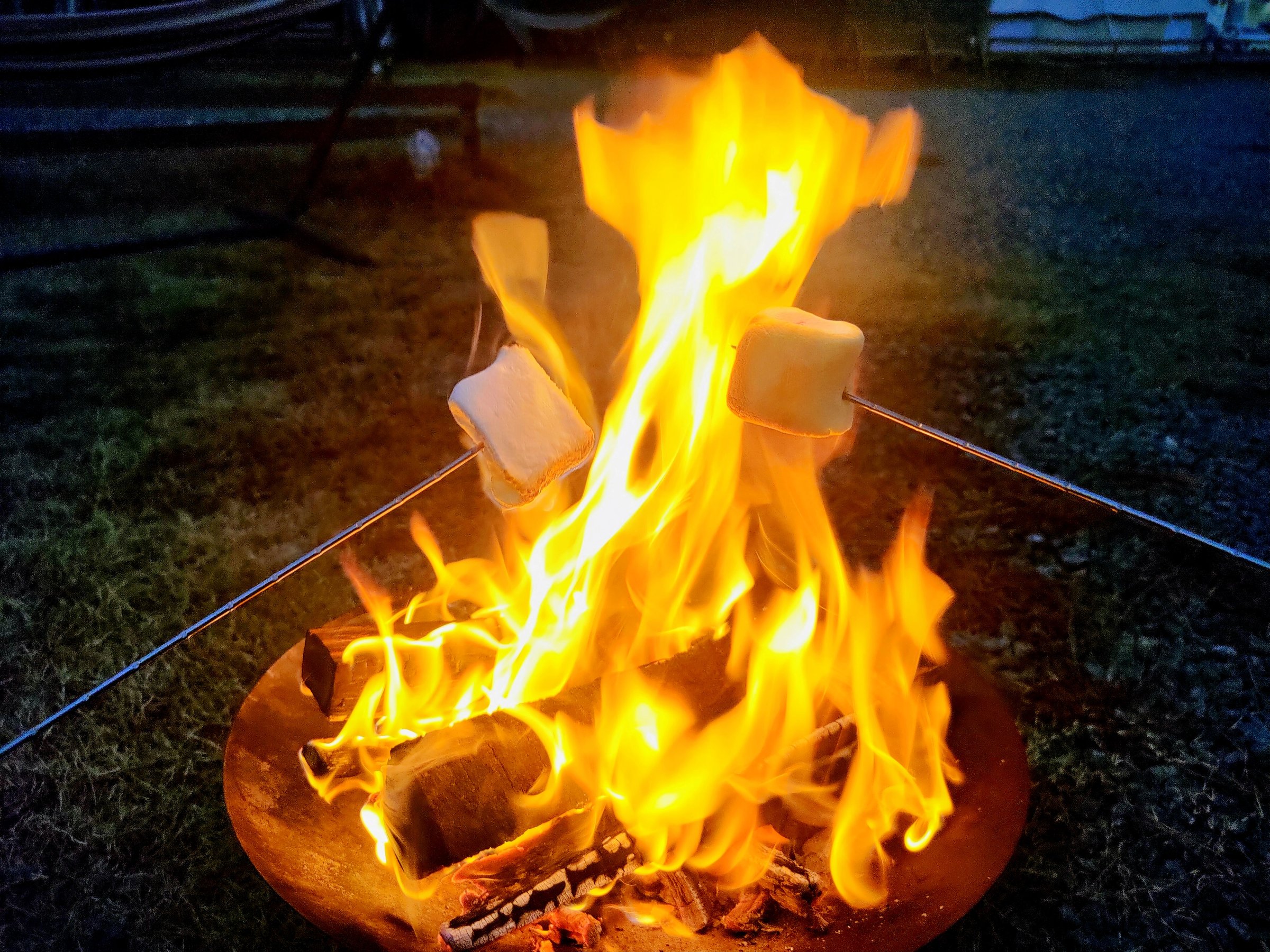 ���΁��Ă��}�V���}��