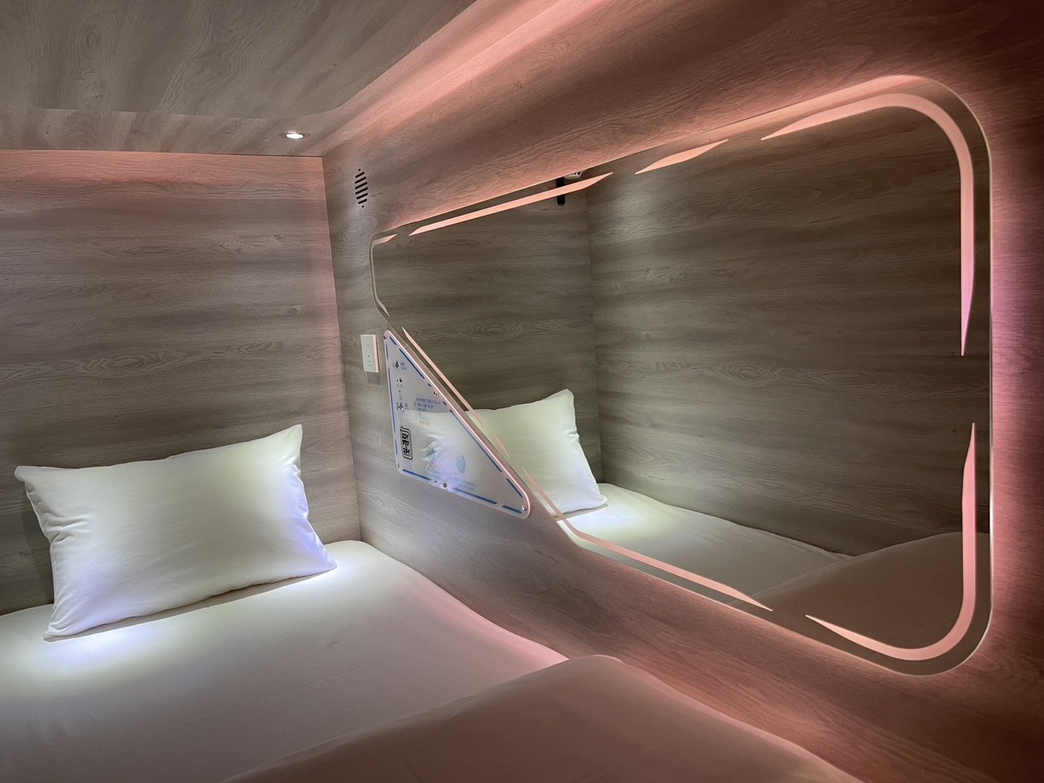 �u���C���X���[�v�L���r��