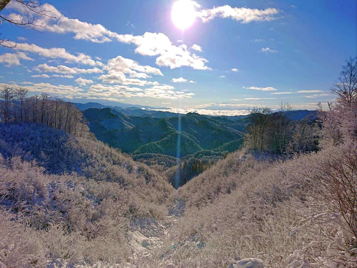 �y���ӊό��z �����̓W�]��