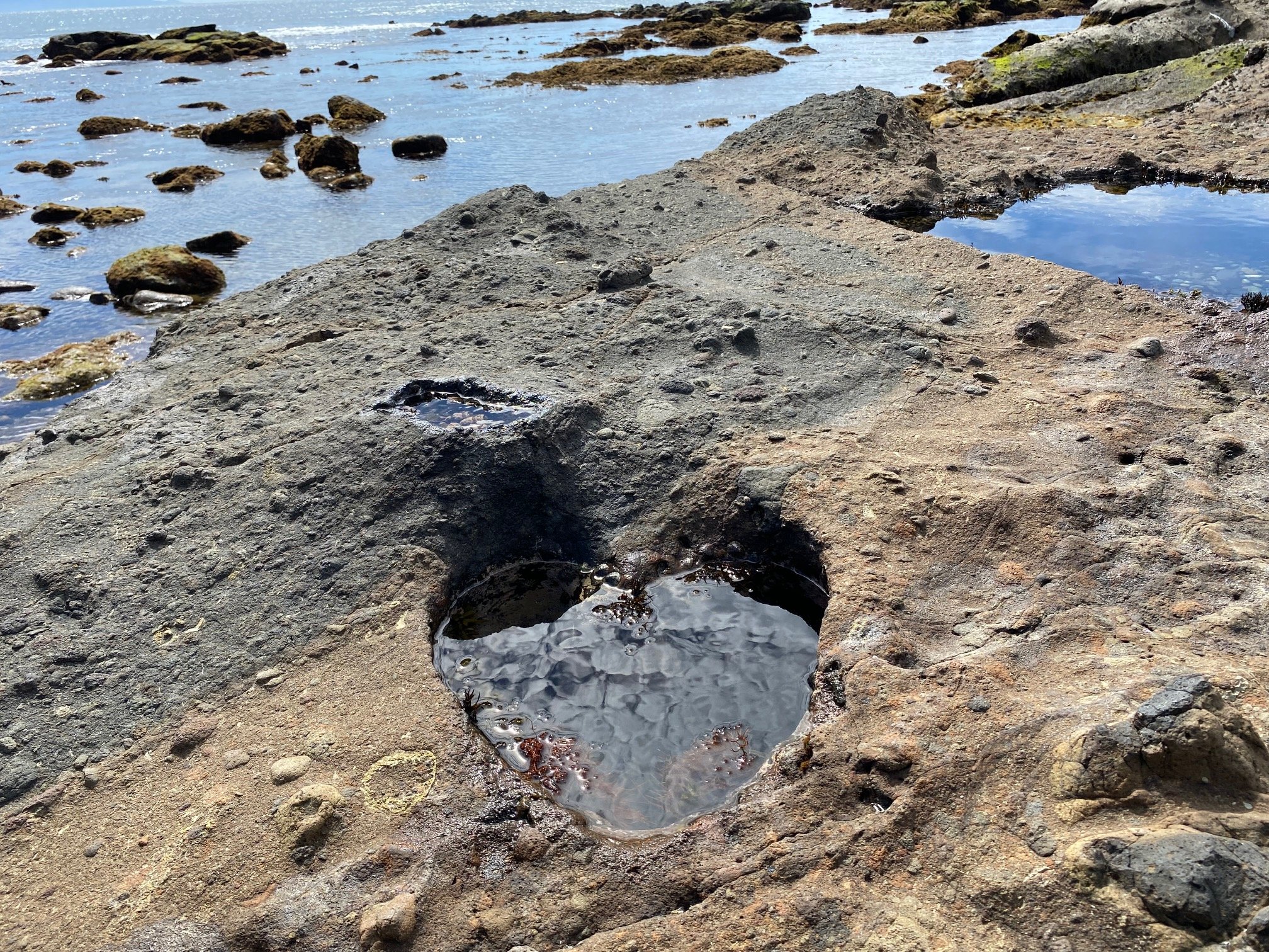 ����l�C�݂ɂ���n�[�g�I�T���Ă݂ĉ�����