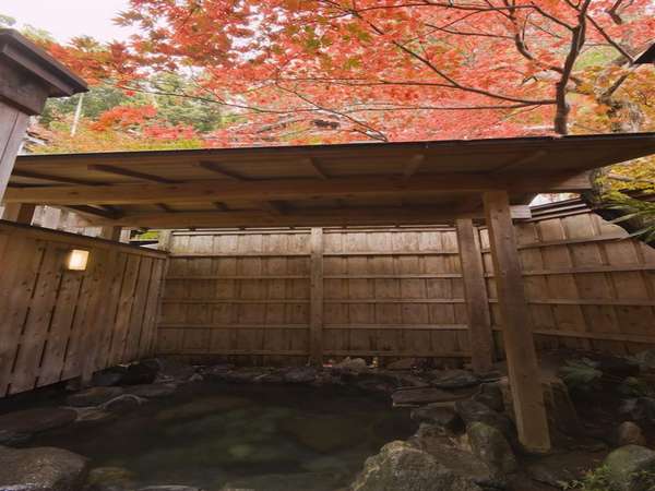 yݐؐpIVCzgt𒭂߂Ȃ̂тƁAc牷܂āBN11{`12{