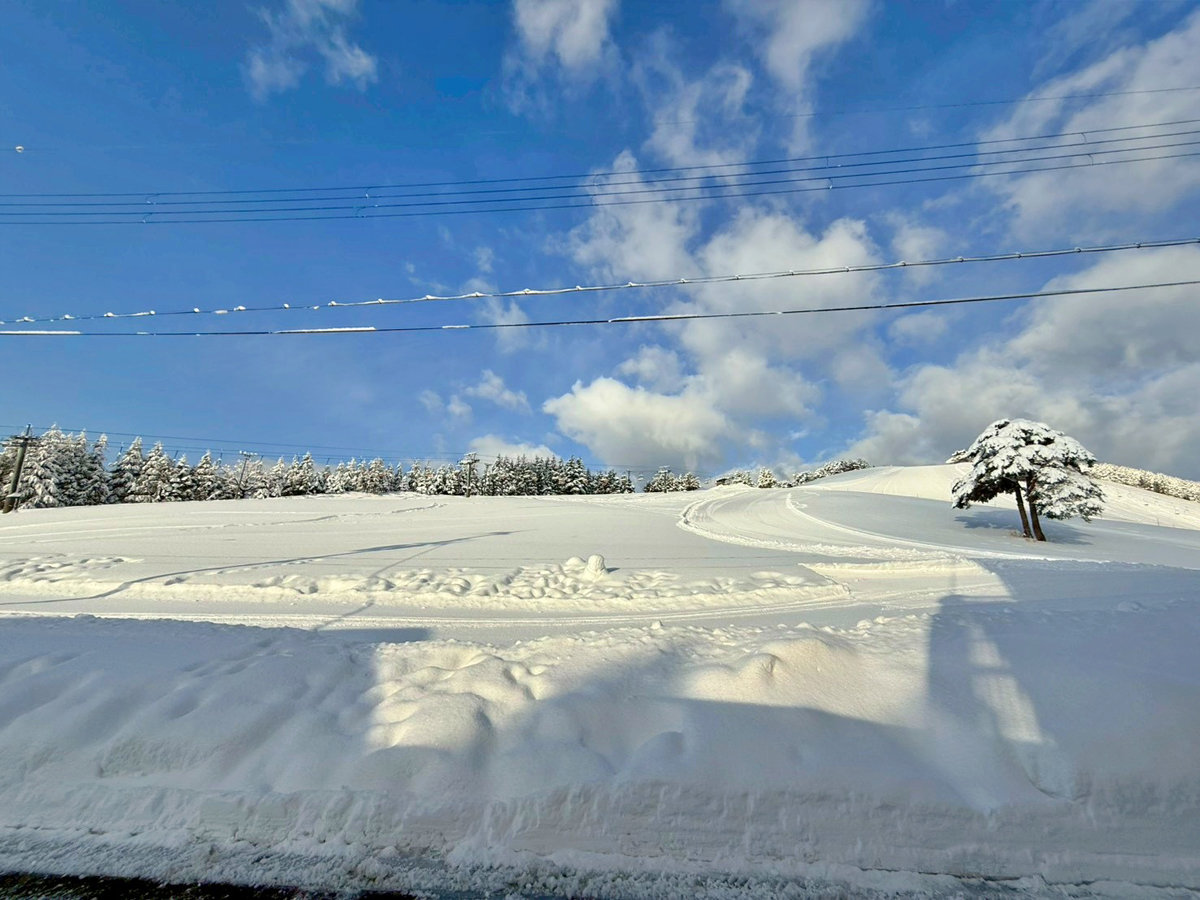 �y�A�b�v�_��X�L�[��z�h�̖ڂ̑O���Q�����f